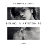 Kryptonite (Dr. Fresch x Tendra Remix)专辑