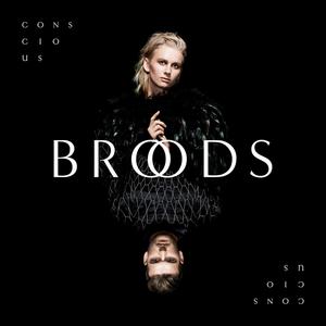 Broods - Couldn't Believe (CK karaoke) 带和声伴奏 （升8半音）