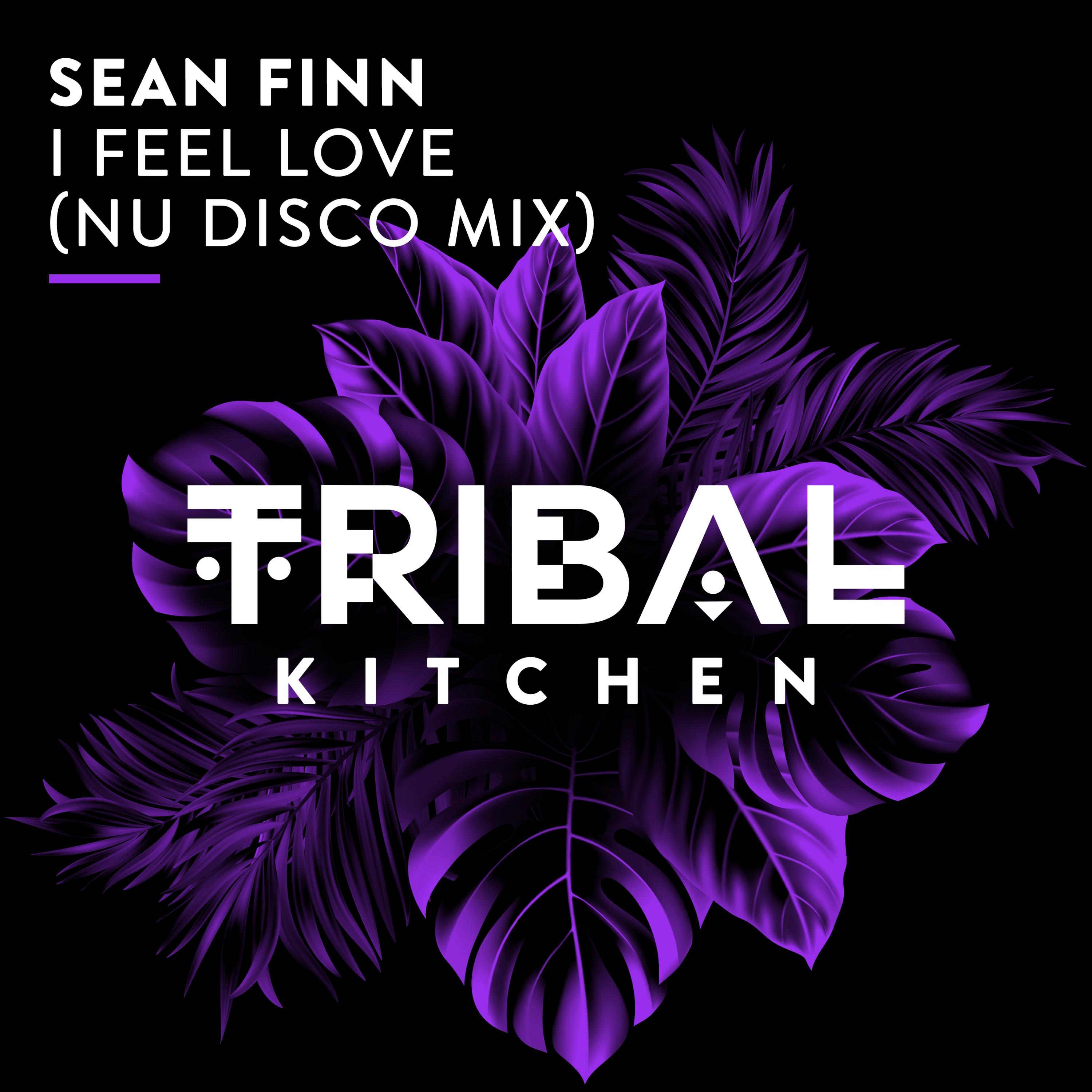 I Feel Love (Nu Disco Extended Mix)