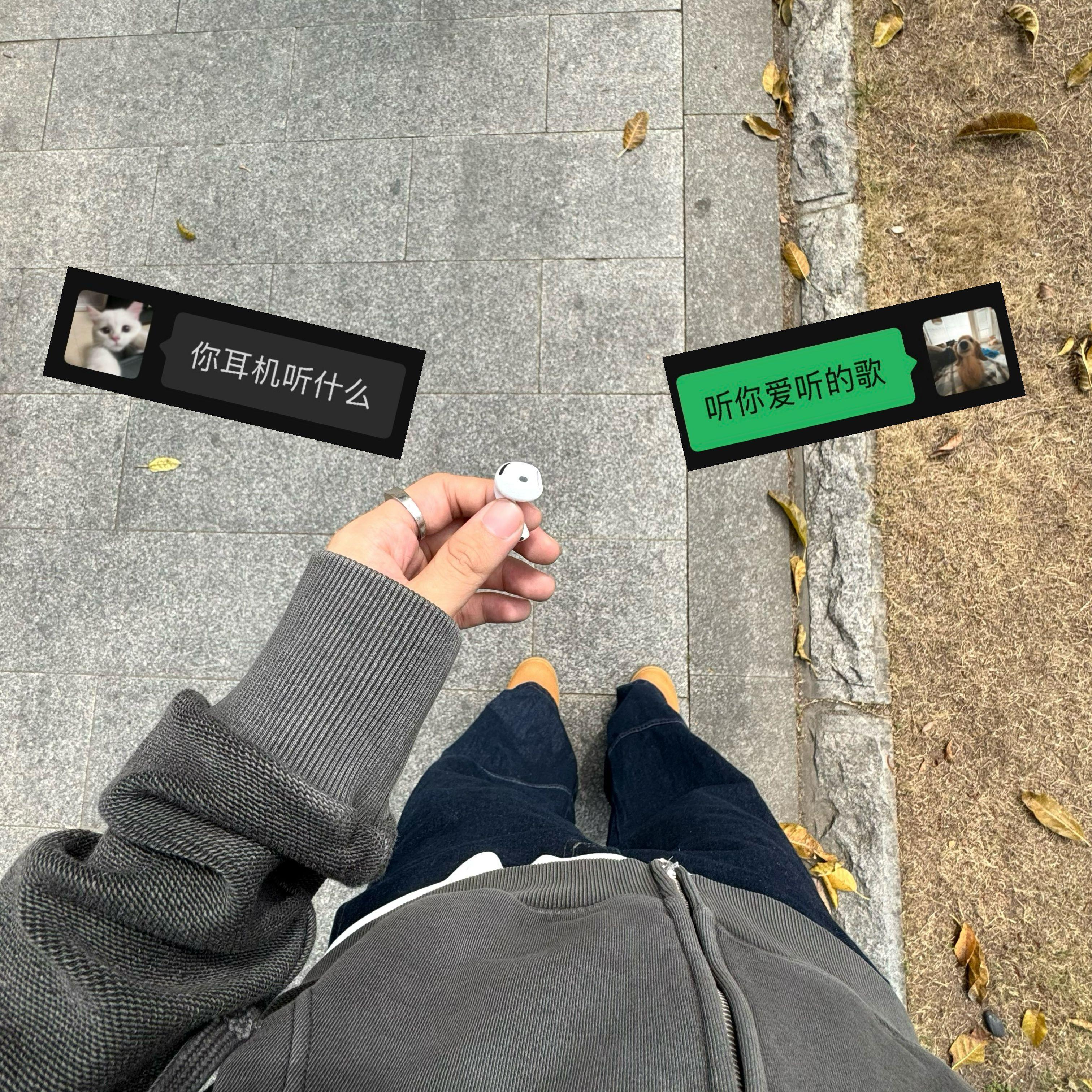 Why u lie (你为何欺骗)