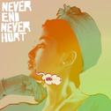 Never End Never Hurt (International Edition)专辑