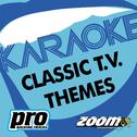 Zoom Karaoke - Classic T.V. Themes专辑