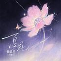夏花专辑