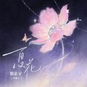 夏花