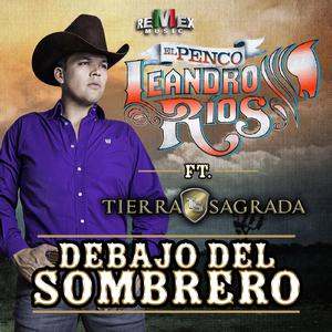 Debajo Del Sombrero - Leandro Ríos (SC karaoke) 带和声伴奏 （升3半音）