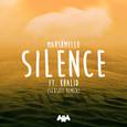 Silence (Slushii Remix)