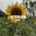 如果有一天我带你去听周杰伦的演唱会