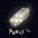 偷偷藏不住（非官方小说发烧友追星歌曲）