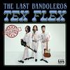 The Last Bandoleros - Vamos a Bailar (Spanglish Version)