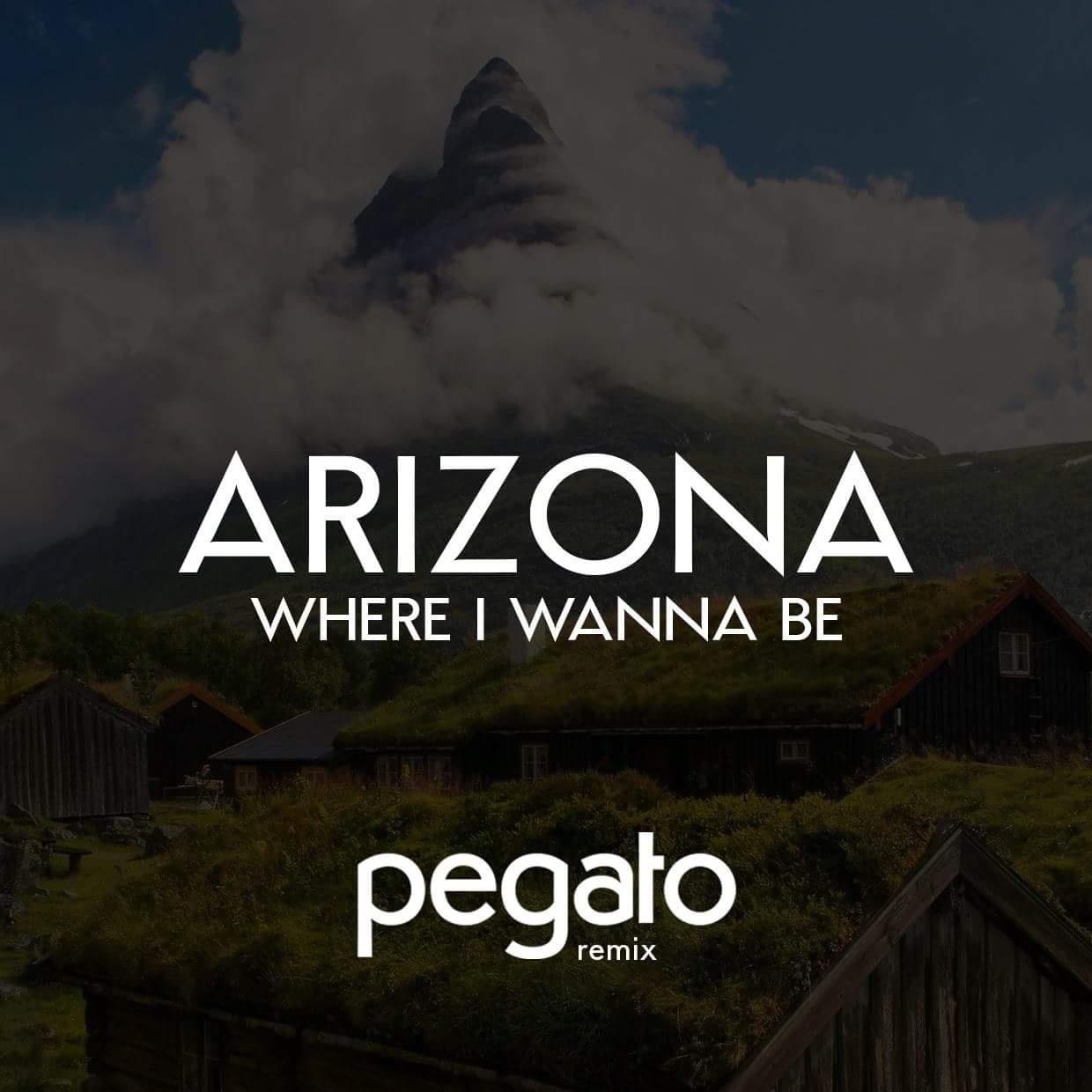 Where I Wanna Be (Pegato Remix)专辑