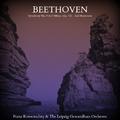 Beethoven: Symphony No. 9 in D Minor, Op. 125 - 2nd Movement