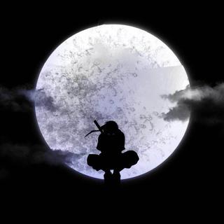 林深时见鹿 海蓝时见鲸 梦醒时见你
