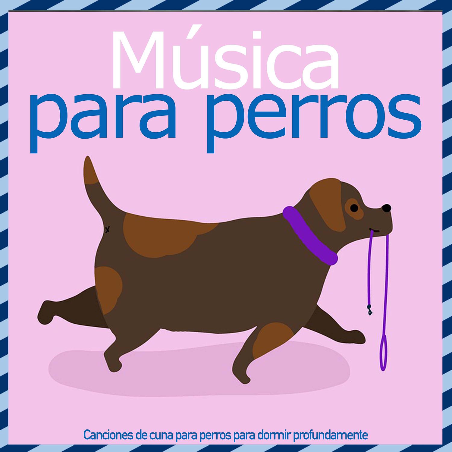 Relax My Dog - Buen Paseo