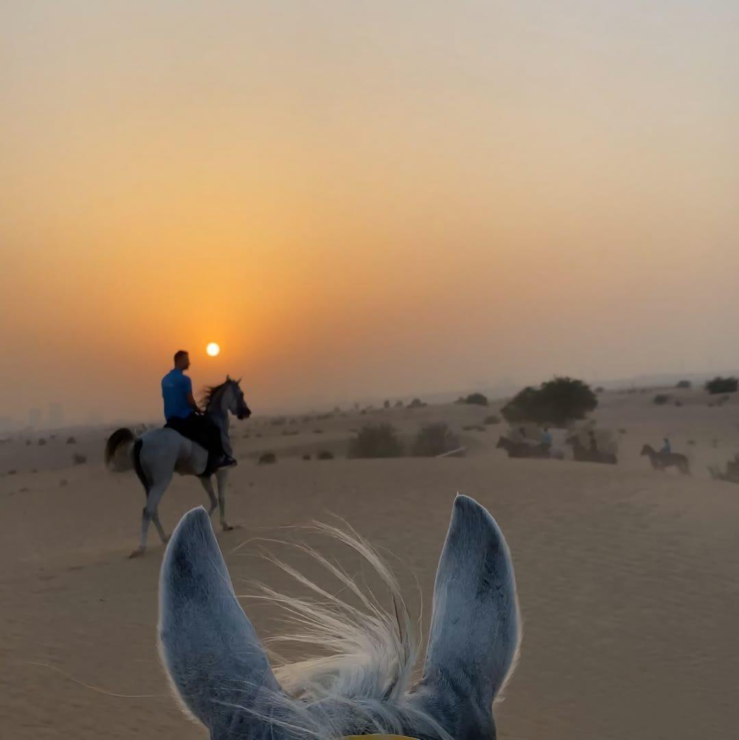 Adelante_(Anton_Blagushin_Remix_2016)