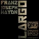 Franz Joseph Haydn: Largo专辑
