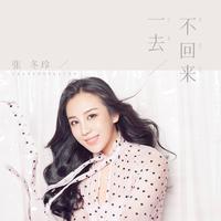 一去不回来 (DJ阿远版)