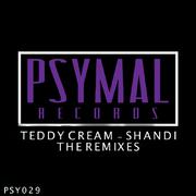 Shandi The Remixes