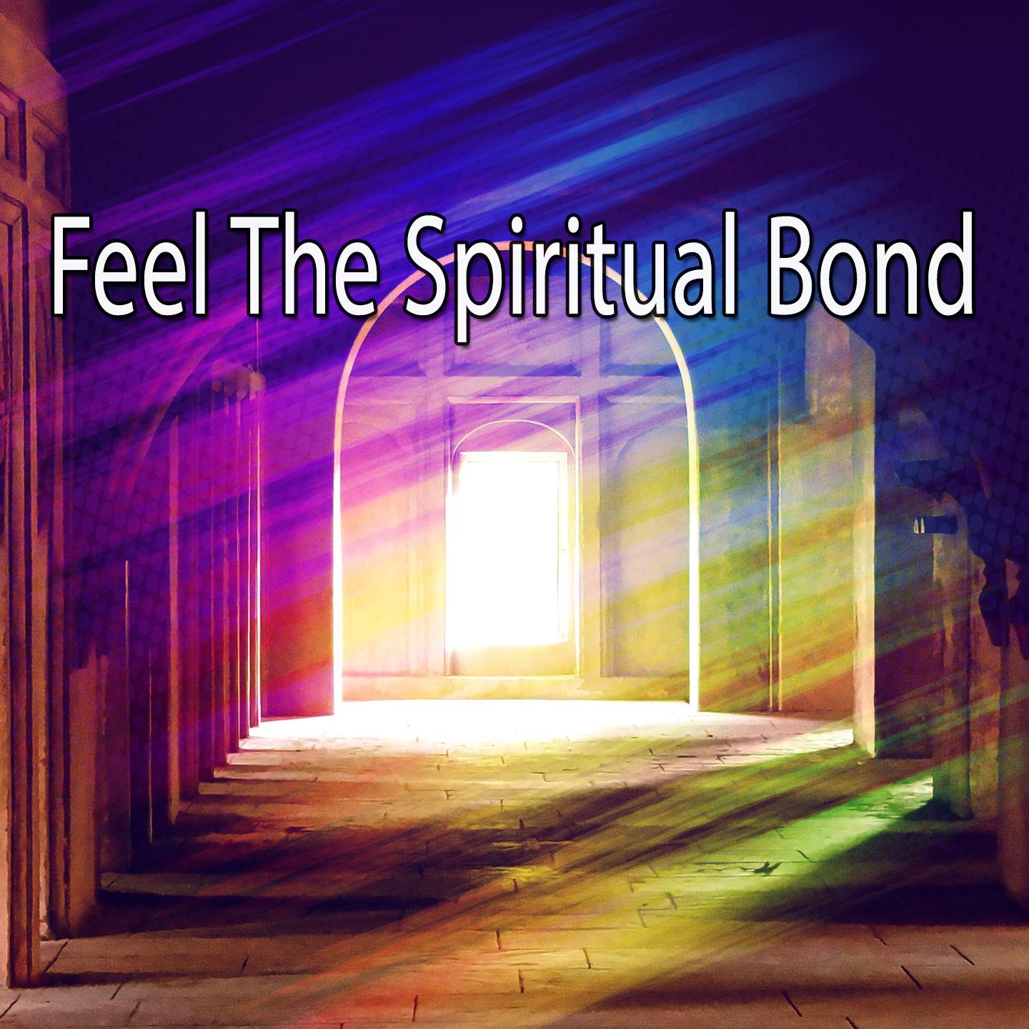 Feel The Spiritual Bond专辑