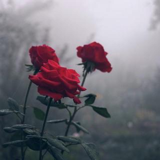 ［蹦迪］宿舍御用蹦迪歌单