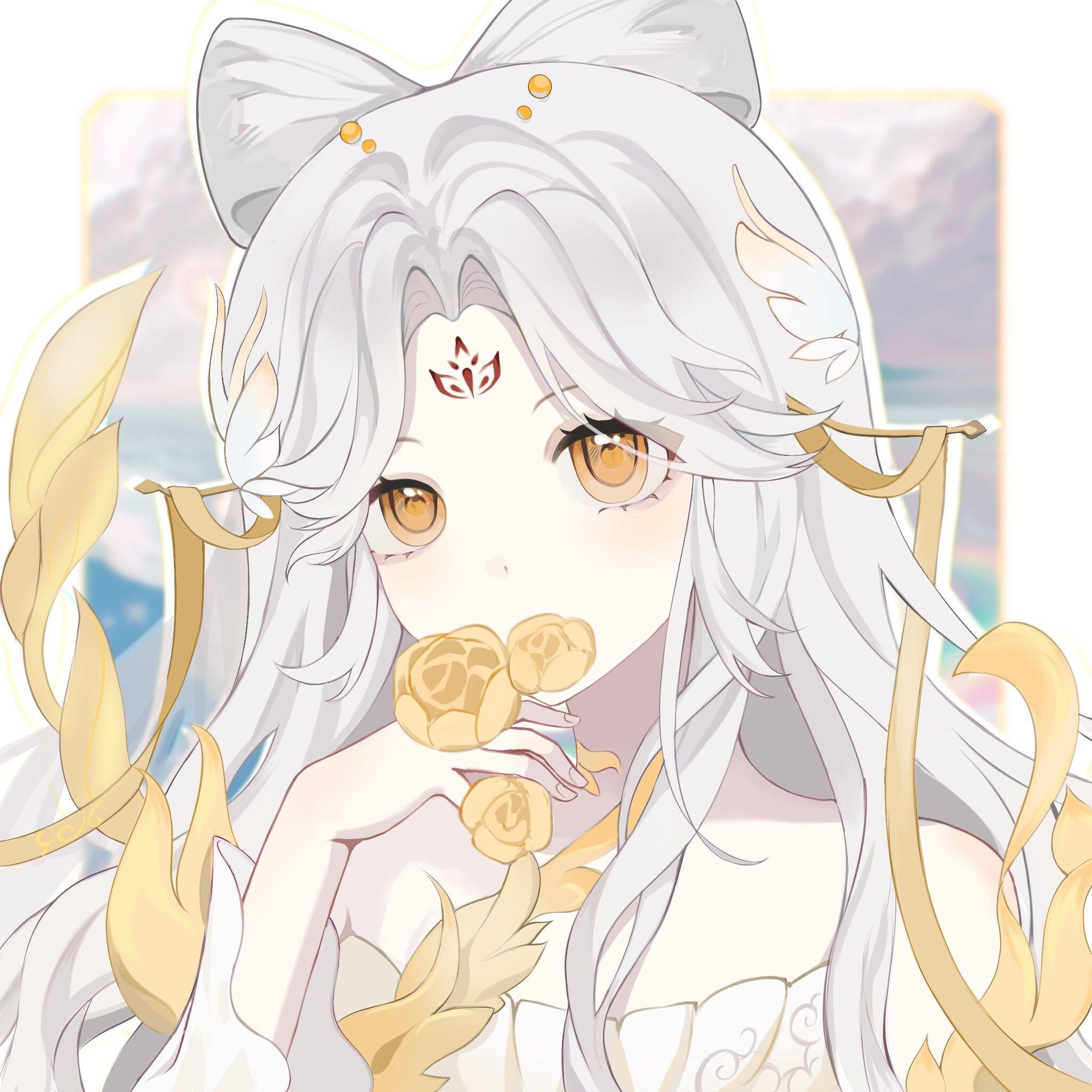 探窗