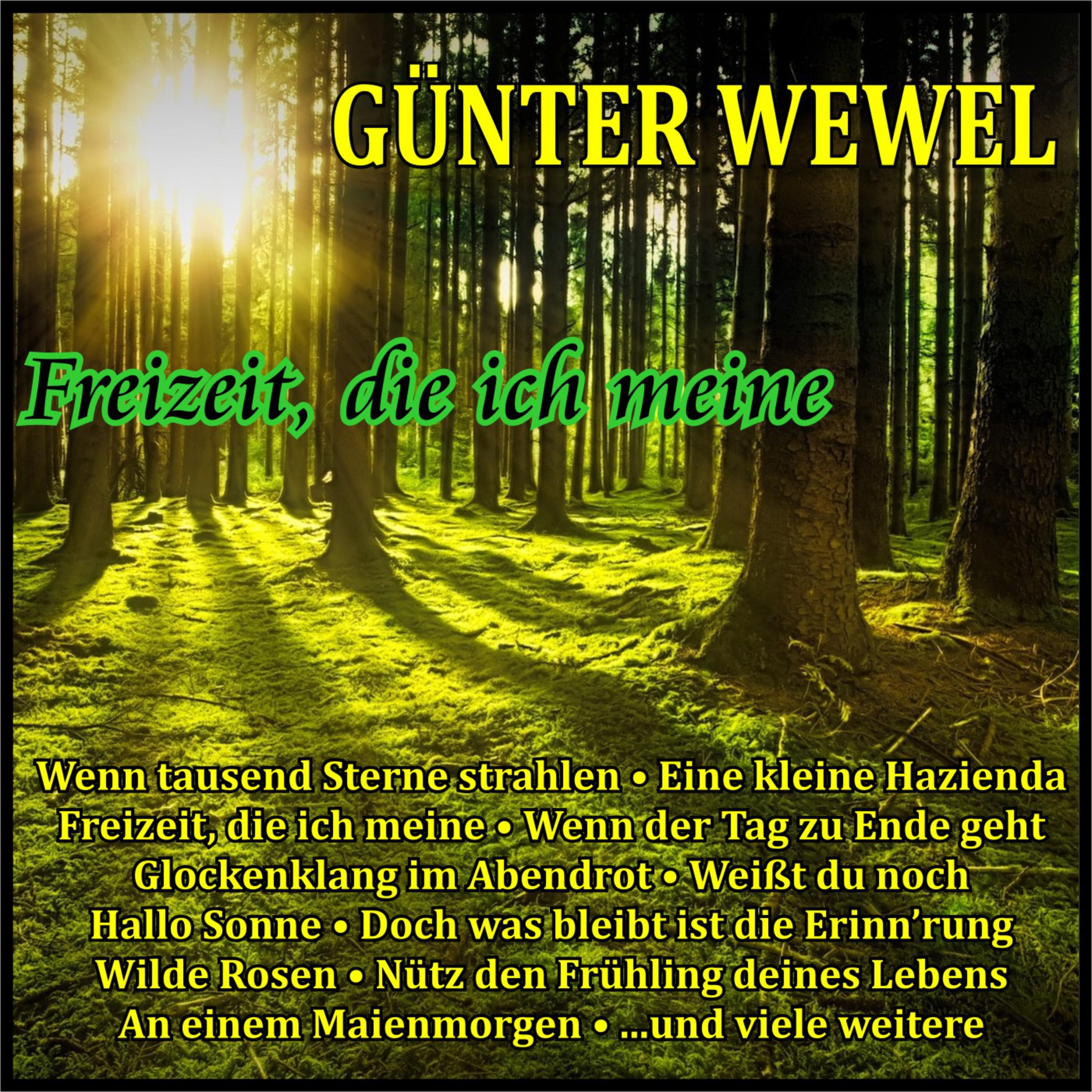 Günter Wewel - Glockenklang im Abendrot