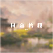 琴师（抖音版）