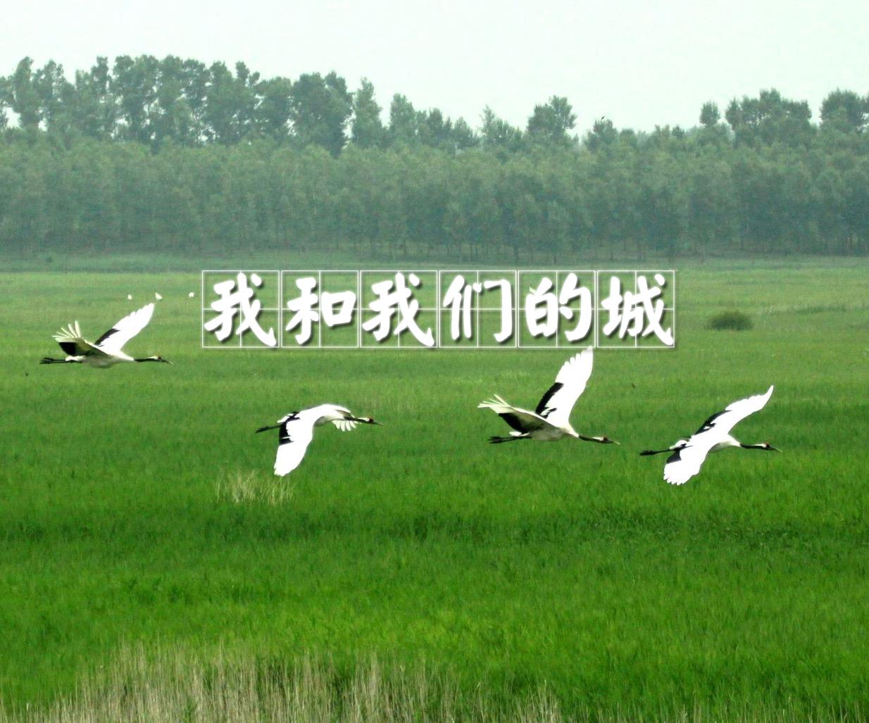 我和我们的城