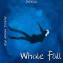 Whale Fall