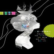 平纱落雁·2012音乐特辑