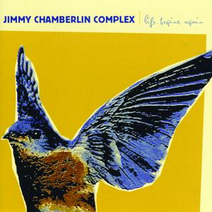 Jimmy Chamberlin Complex - Life Begins Again (Karaoke) 带和声伴奏 （升5半音）