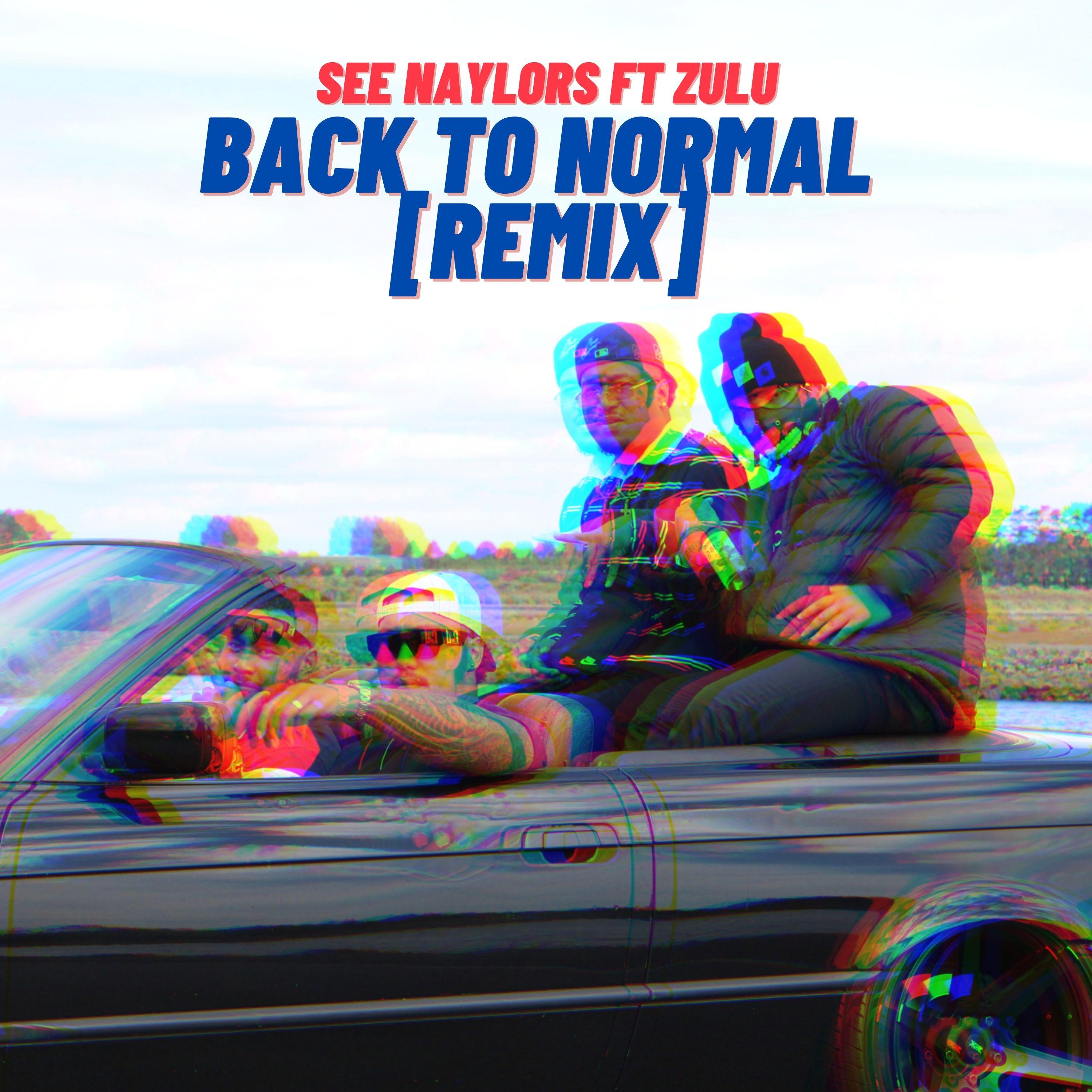 Back To Normal (Remix)