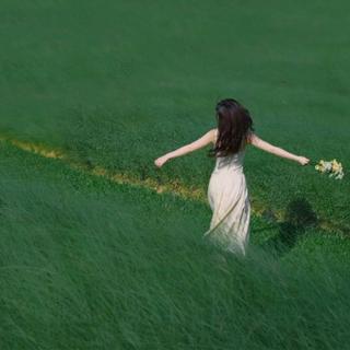 自然之音 | 沉浸大自然 静谧与美好之中