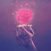 Grafted Rose