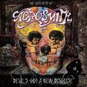 Devil's Got A New Disguise: The Very Best Of Aerosmith专辑