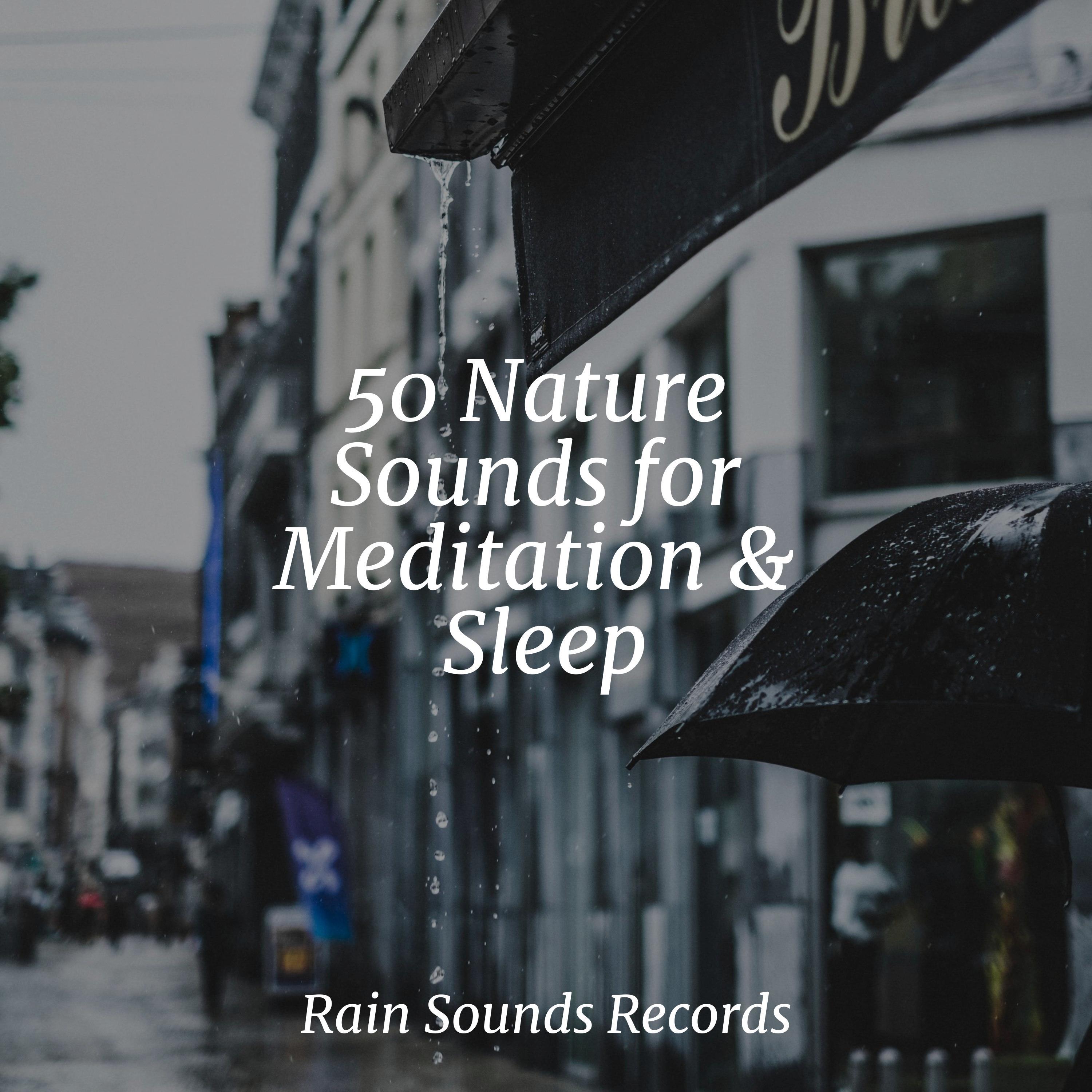 Rain Sounds - Brook, Water Movement, Rivulet