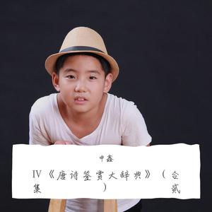 李鹏飞 - 武威送刘判官赴碛西行军 (伴奏).mp3