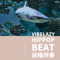 VIBE LAZY HIPPOP BEAT 说唱伴奏