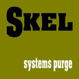 systems purge