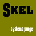 systems purge专辑