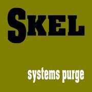systems purge
