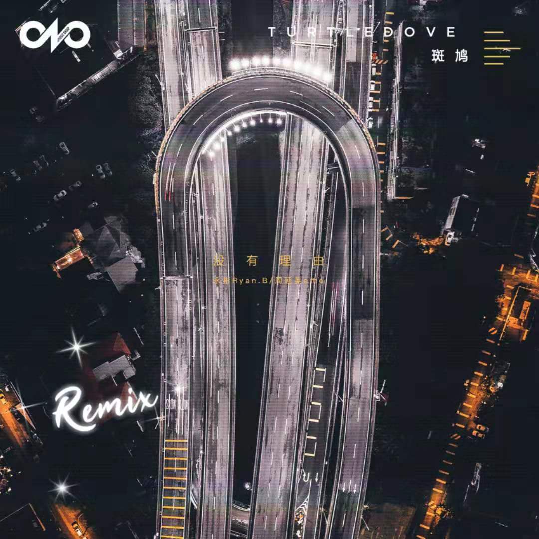 没有理由（TurtleDove斑鸠 Remix）