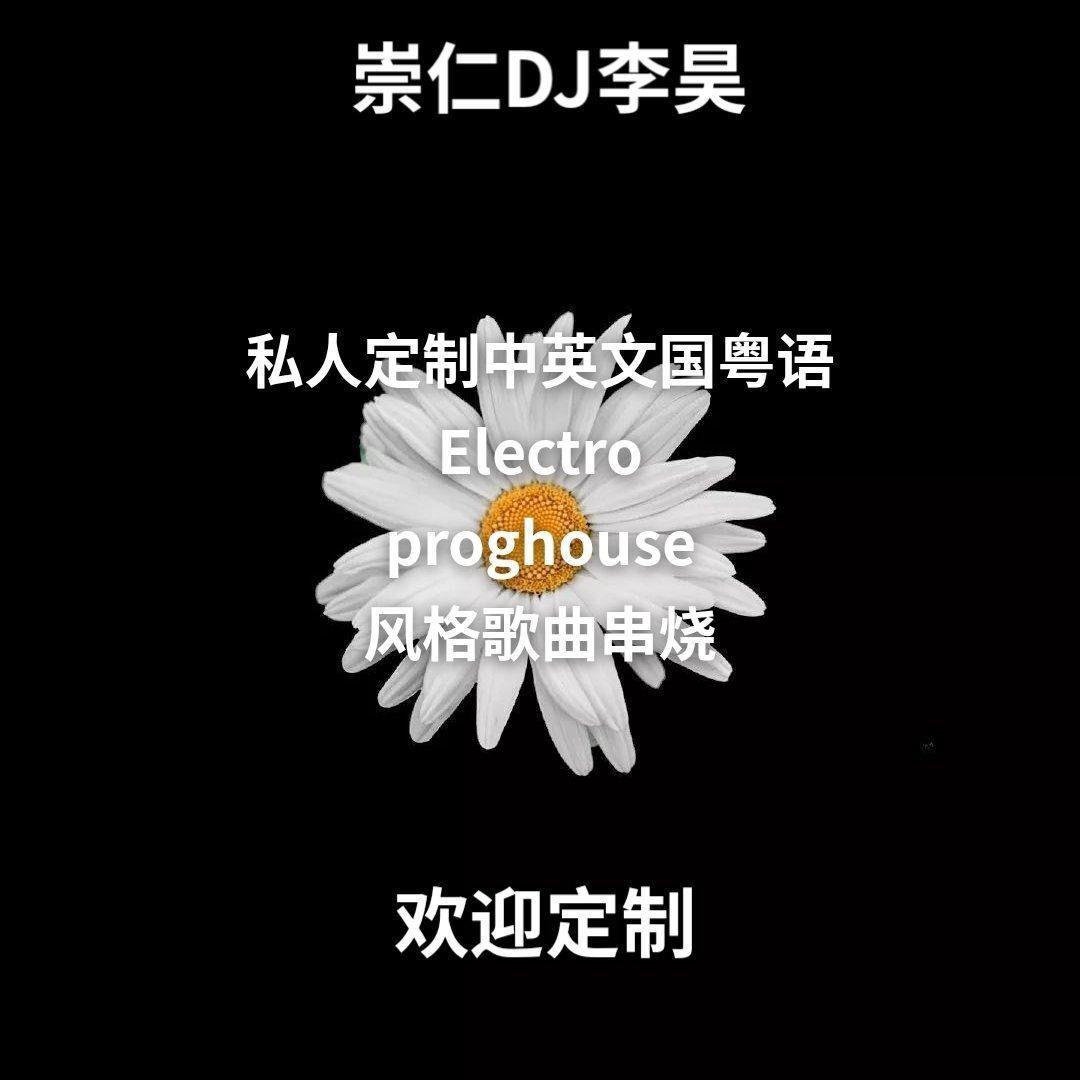 尚士达-生而为人（DJ李昊 Electro Mix 2022）