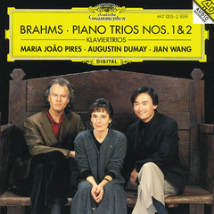 Piano Trio No.2 In C, Op.87:2. Andante con moto