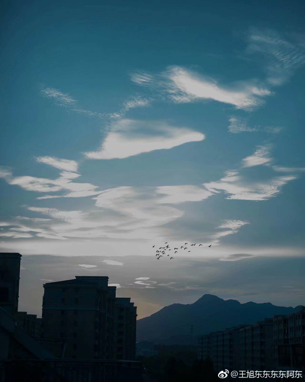 理想三旬专辑
