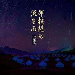 那拉提的流星雨