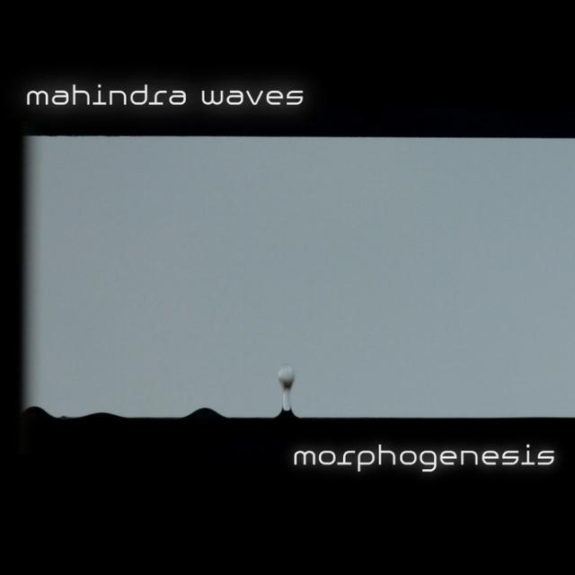Morphogenesis