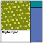 Cephalopod专辑