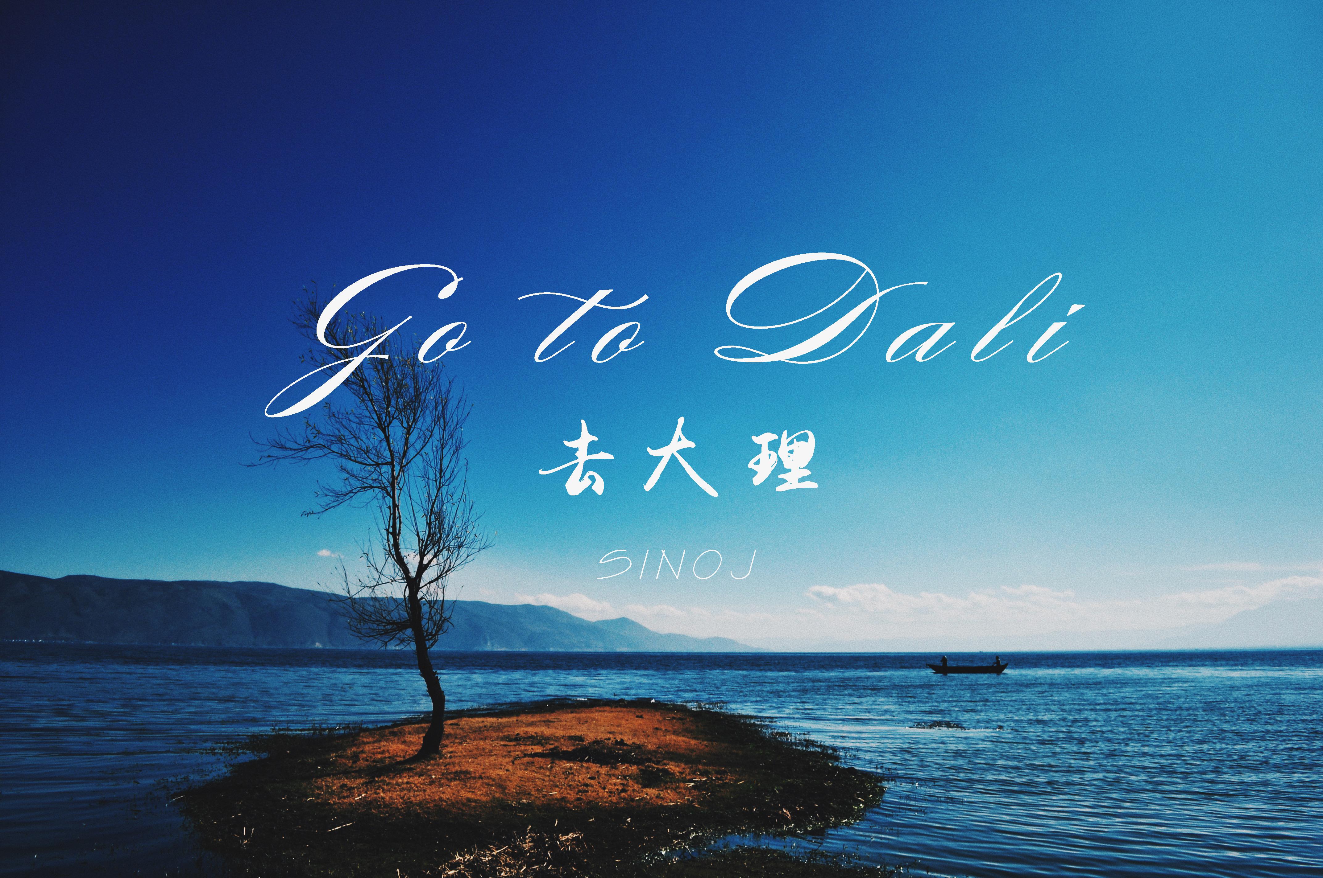 Go to Dali专辑