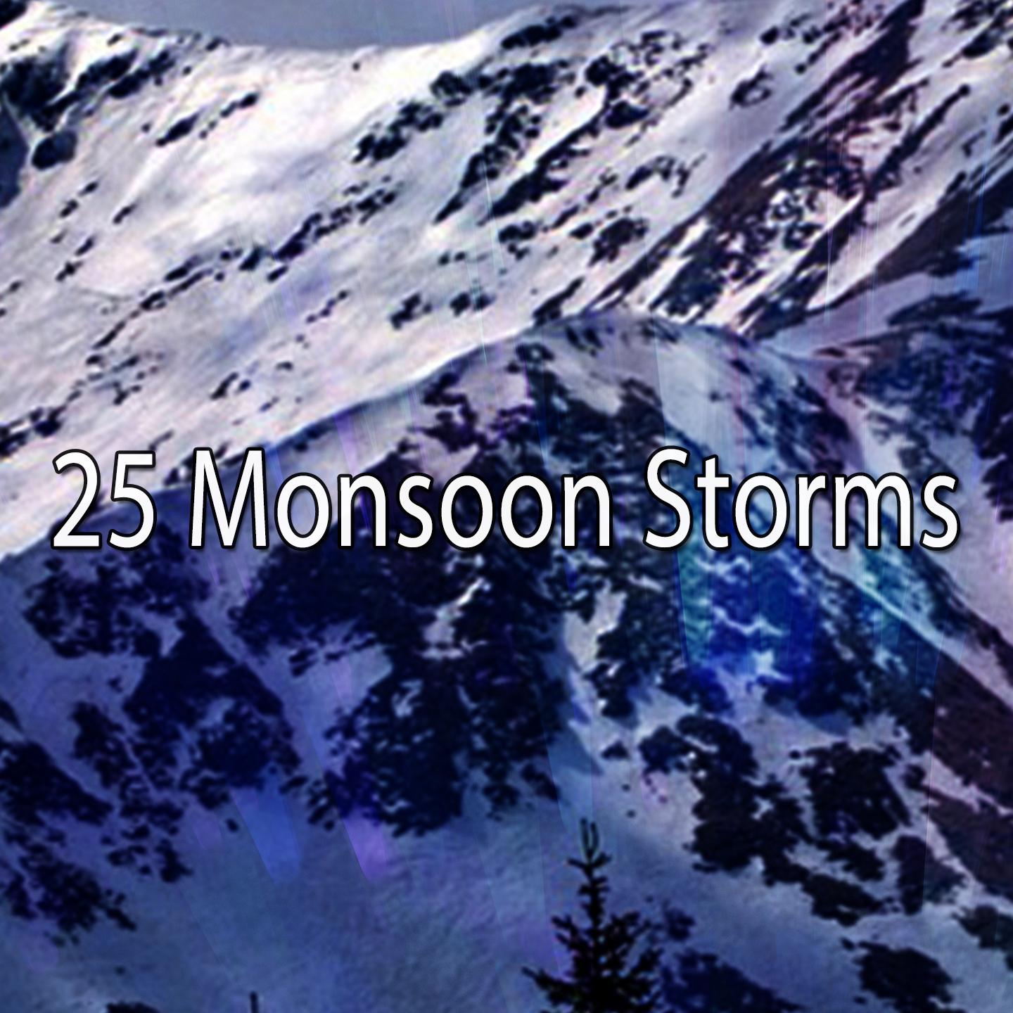 25 Monsoon Storms专辑