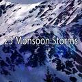 25 Monsoon Storms